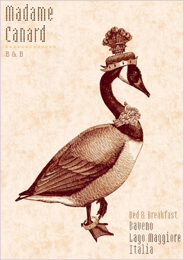 Madame Canard Baveno Dış mekan fotoğraf